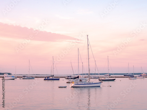 Sailboats in marina at sunset