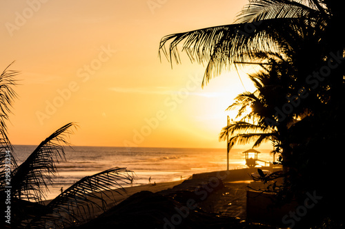 Yellow, golden and black background sunset at the beach front in El Salvador. dark palm trees and people in small siluetes photo