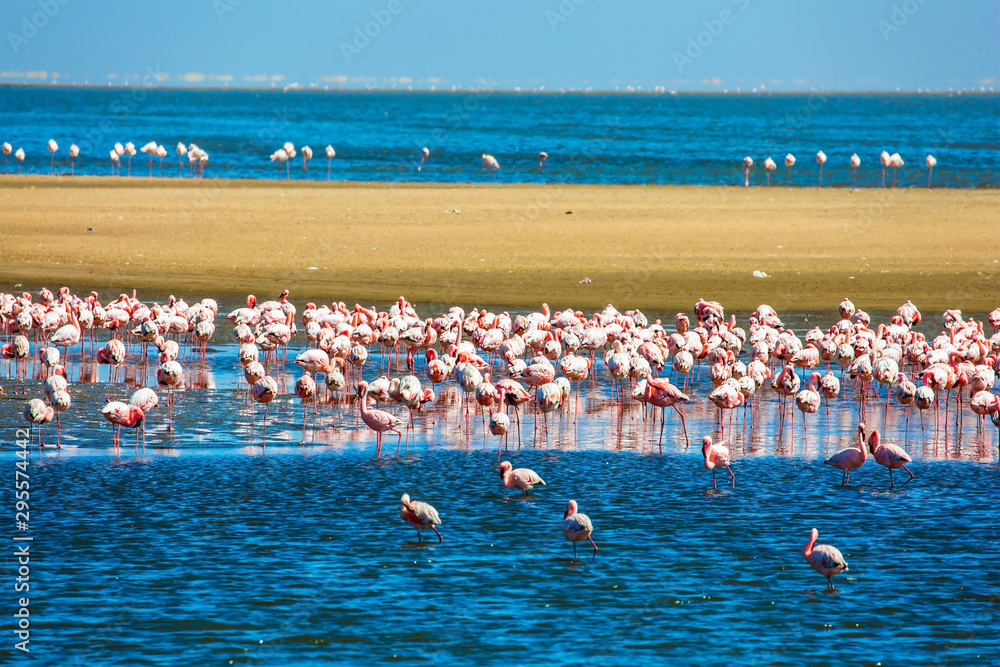 Fototapeta premium African coast of the Atlantic