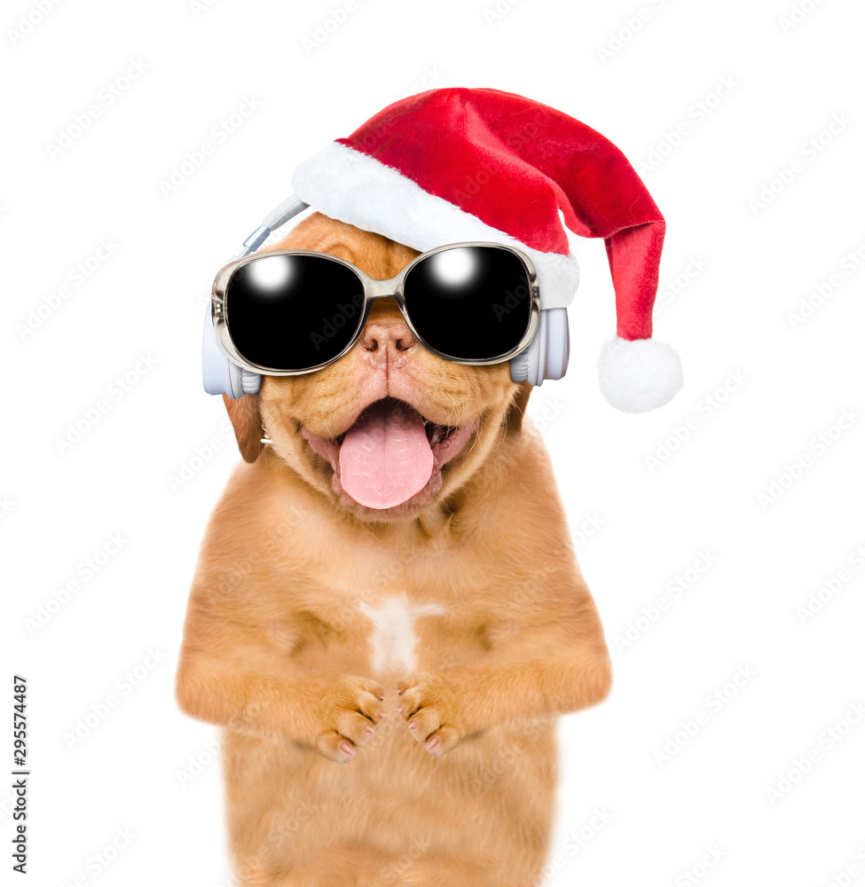 Happy puppy with santa hat listening wireless music with headphones. Isolated on white background