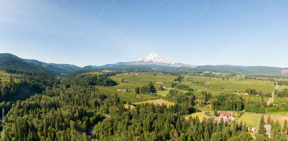 Aerial Panoramic View of American Landscape and Green Farm Fields with Mount Hood in the background. Taken in Oregon, United States of America.