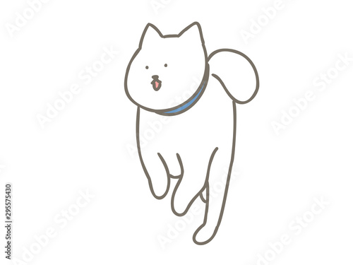 北海道犬喜ぶジャンプ