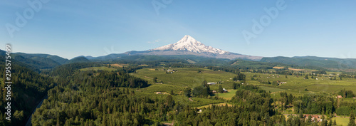 Aerial Panoramic View of American Landscape and Green Farm Fields with Mount Hood in the background. Taken in Oregon, United States of America. photo