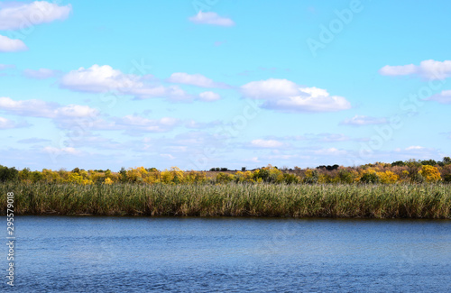 Аutumn landscape of river and bright trees and bushes against the blue cloudy sky.