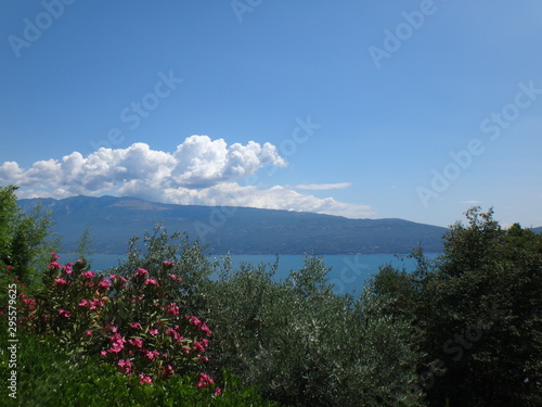 gardasee wolken über berg blumen