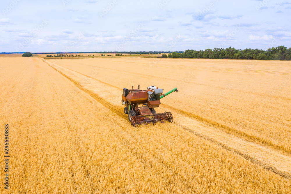 Obraz premium Combine harvester harvests wheat in the field at sunset in autumn in Russia. view from a height of equipment and field.