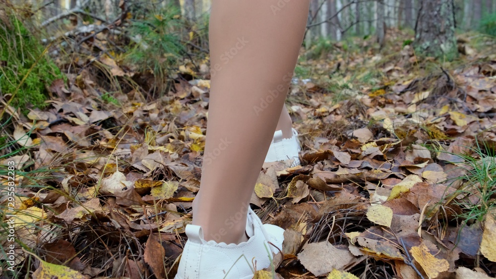 female legs walk through the autumn forest