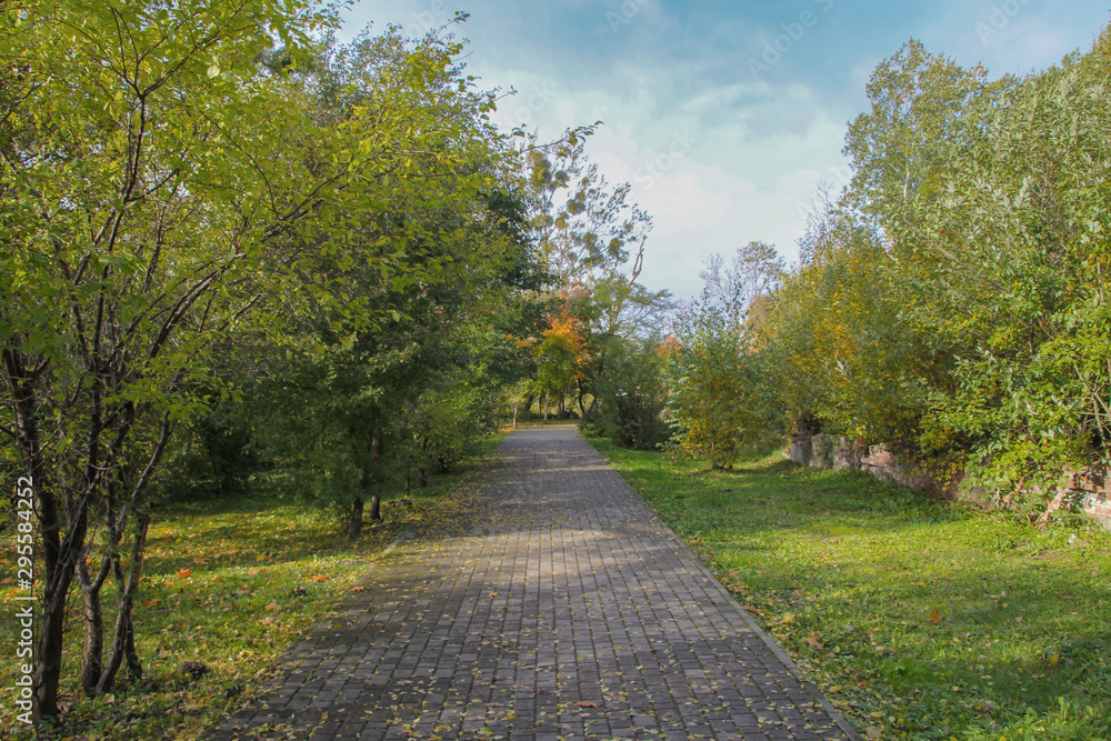 Alley in the autumn park.