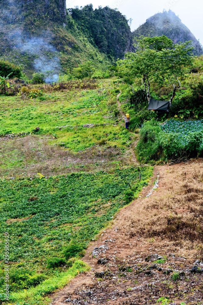 Beautiful hiking trail in the Philippines mountains Beautiful hiking trail in the Philippines mountains
