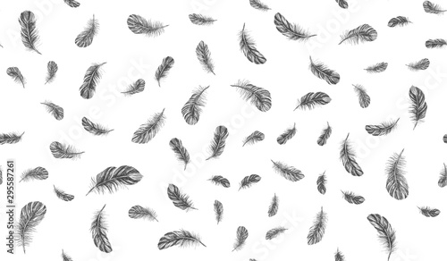 Feathers on white background. Hand drawn sketch style.