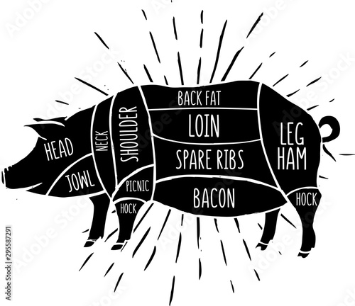 Scheme of Pork for butcher shop. Vector illustration. 