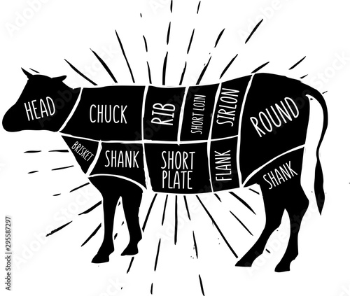 Scheme of cow. Vector illustration.