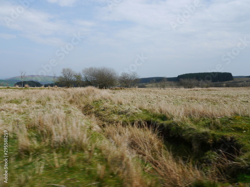 Welsh bog land