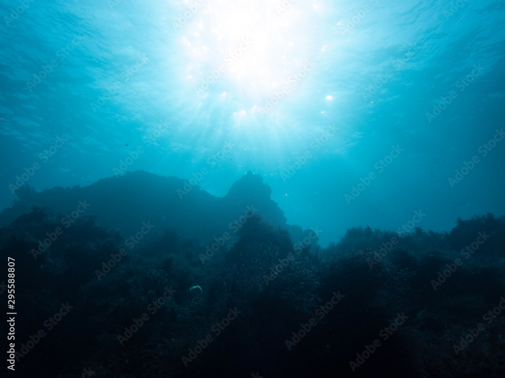 Beautiful light underwater