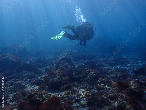 Diver and underwater scenery