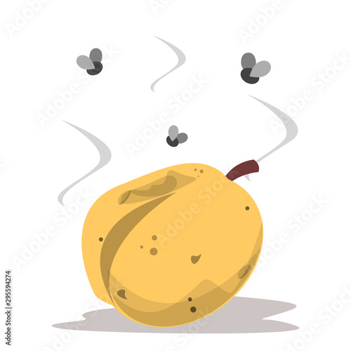 Rotten apricot and fly around vector isolated. Vegetarian food