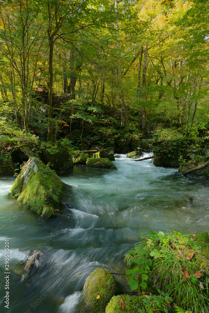 Obraz premium 青森県奥入瀬渓流 岩と苔がある風景
