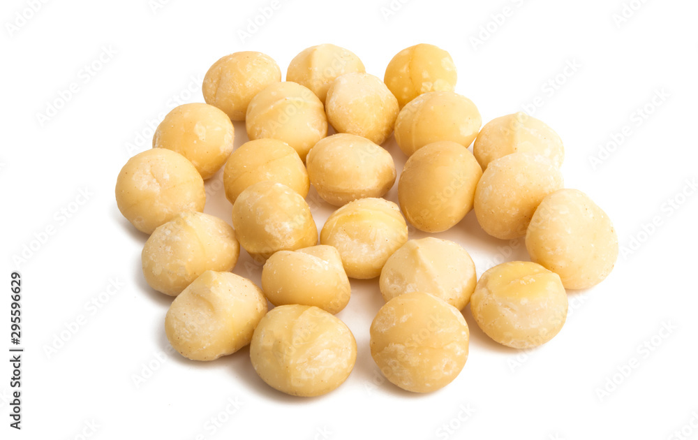 macadamia nuts isolated macadamia nuts isolated