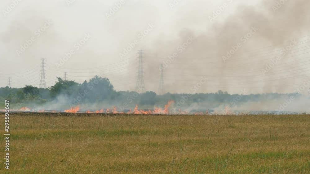 Burn the farm of fields for agriculture Symptom pollution. Cause of birth PM 2.5 air pollution Burn the farm of fields for agriculture Symptom pollution. Cause of birth PM 2.5 air pollution