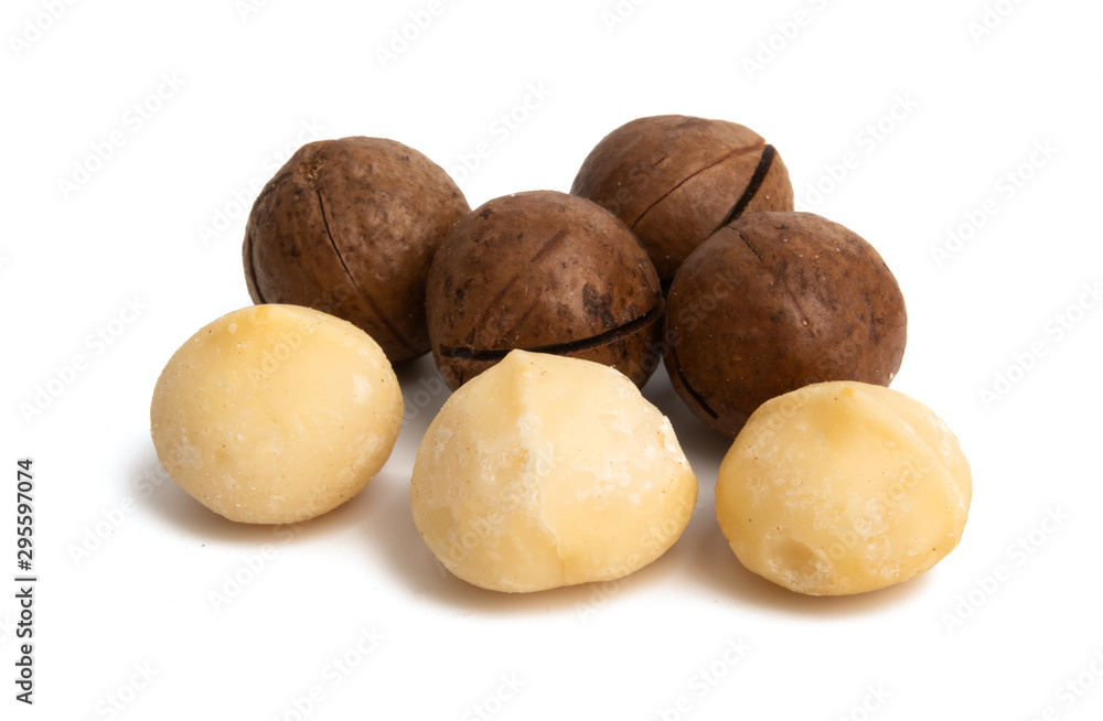macadamia nuts isolated macadamia nuts isolated