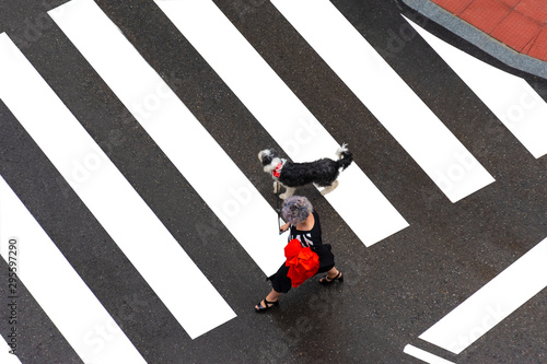 mujer paseando con su perro y cruzando por un paso de cebra