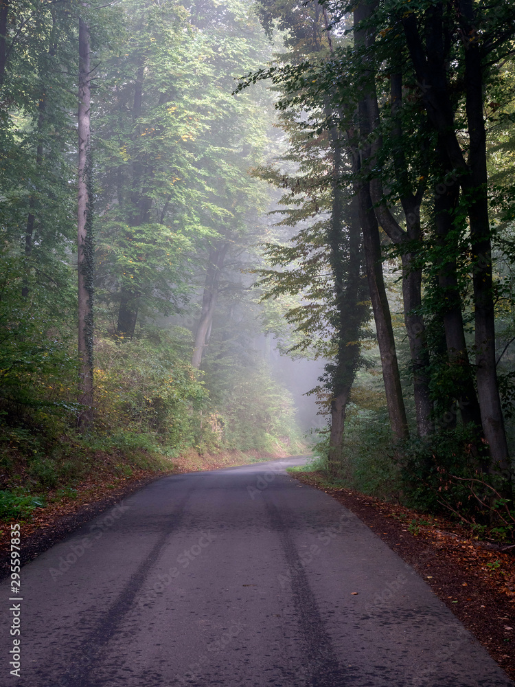 Naklejka premium Herbststimmung 2