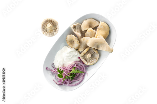 Pickled milk mushrooms with red onion and sour cream on white plate isolated on white background