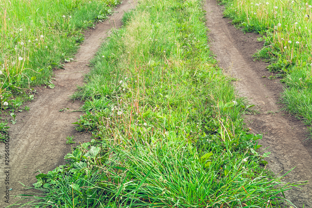 Dirt road in green field. Transportation in countryside. Dirt road in green field. Transportation in countryside.