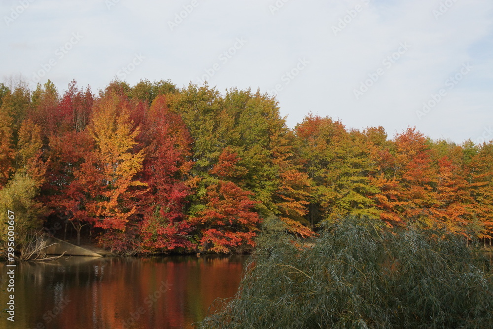 Fototapeta premium Autumn is the season where we combine the most colors