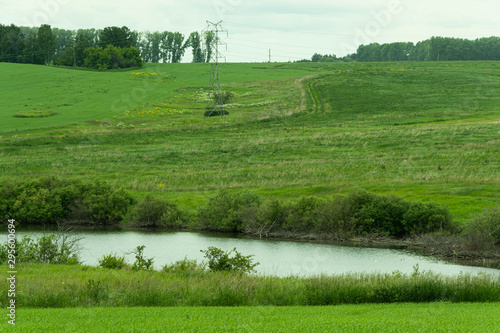 River in green hills. Swift stream in green meadow