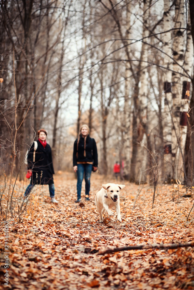 Fototapeta premium Young girl on a walk in the autumn
