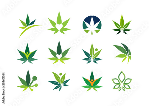 Cannabis leaf, medical marijuana, CBD oil, symbol and logo. Vector design