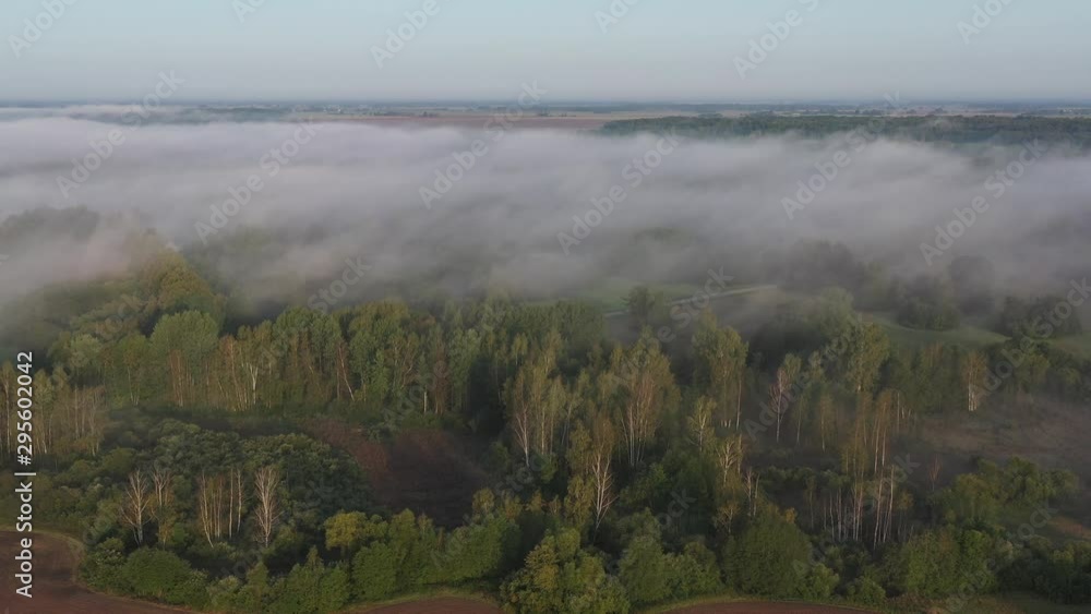 Flowing mist above morning landscape with forest and road, aerial view Flowing mist above morning landscape with forest and road, aerial view
