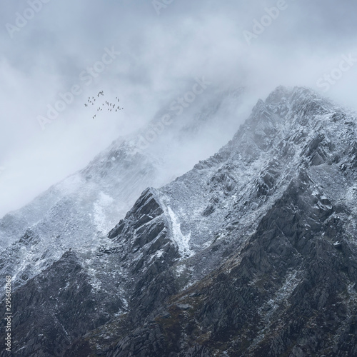 Fotografie, Obraz Stunning detail landscape images of snowcapped Pen Yr Ole Wen mountain in Snowdo