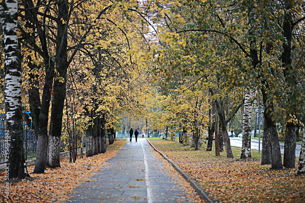 Fototapeta premium Autumn rain in the park