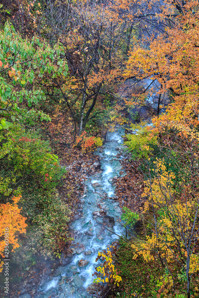 fall colors of autumn