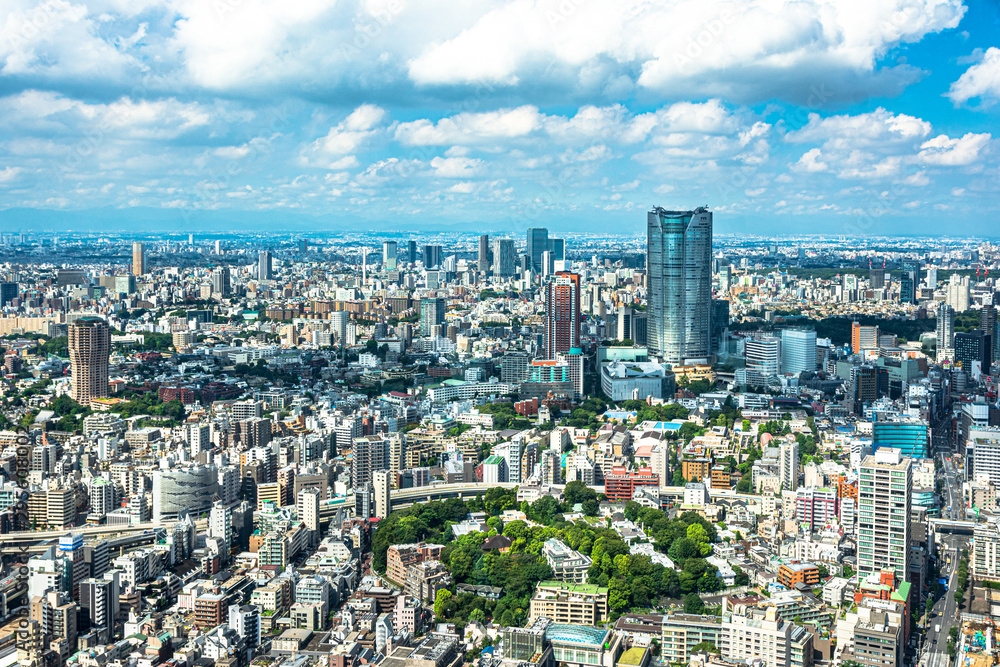 Aerial view of Tokyo from Tokyo Tower, Japan