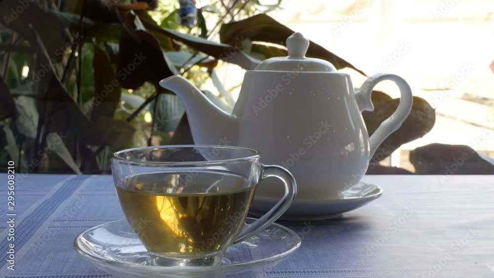 Hot tea in teapot and cup with steam on nature background Hot tea in teapot and cup with steam on nature background