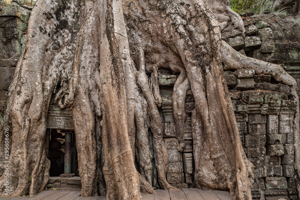 Ta Prohm aka Ta Prohm aka