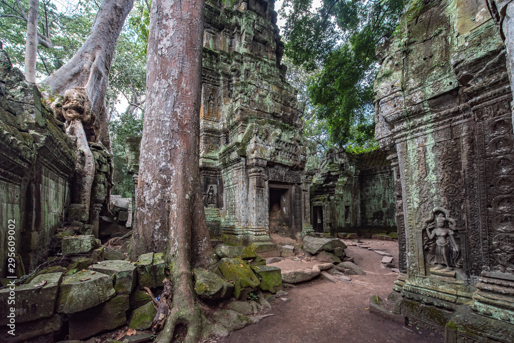 Ta Prohm aka Ta Prohm aka