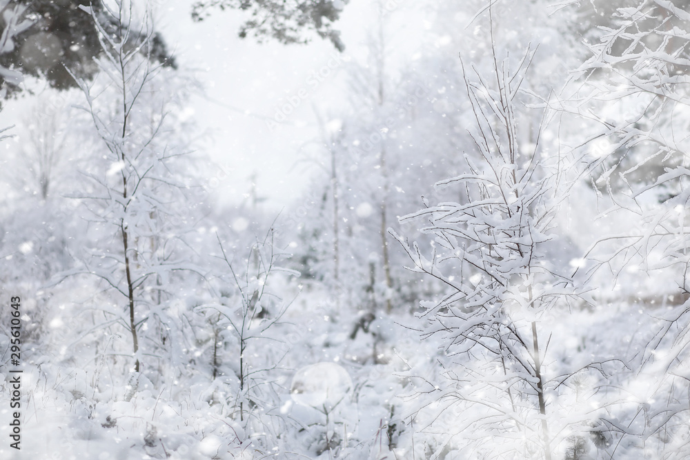 Winter landscape. Forest under the snow. Winter in the park. Winter landscape. Forest under the snow. Winter in the park.