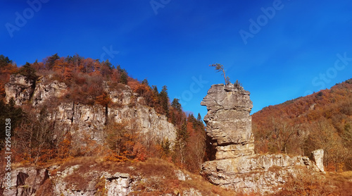 Aerial view of rocks and trees, Dorkovo, Bulgaria photo