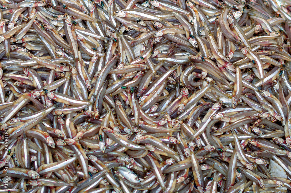 Pile of small fish at the fishmarket Pile of small fish at the fishmarket