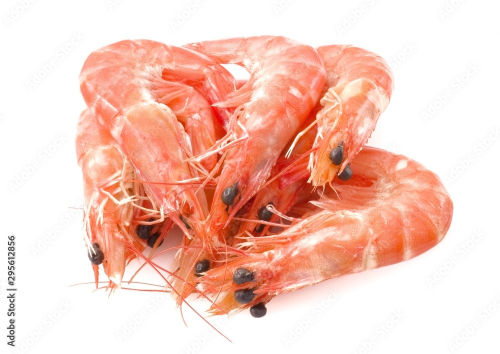 Cooked Prawns or Tiger Shrimps in White Plate Cooked Prawns or Tiger Shrimps in White Plate