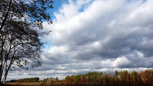 Wallpaper Mural Beautiful clouds float over the autumn forest. Timelapse. Change of clouds over pines. Clouds are floating above the trees. Torontodigital.ca