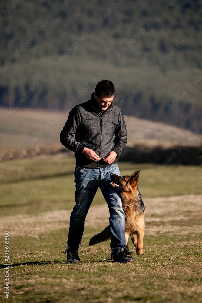 german shepherd dog and his owner walking in the meadows 
