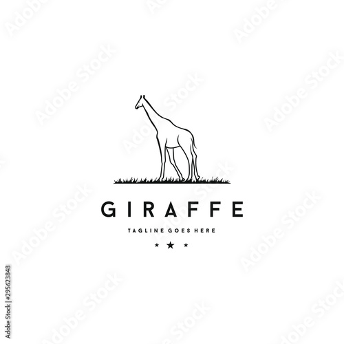 A giraffe logo design template. Awesome giraffe logo. A giraffe logotype.
