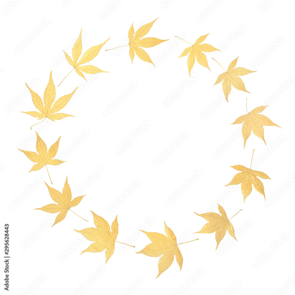 Golden Japanese acer leaf wreath on white background with copy space. Zen minimalist symbol. Golden Japanese acer leaf wreath on white background with copy space. Zen minimalist symbol.