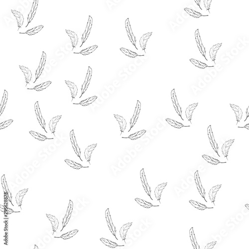 Feather duster hand drawn background. Seamless pattern falling feather.