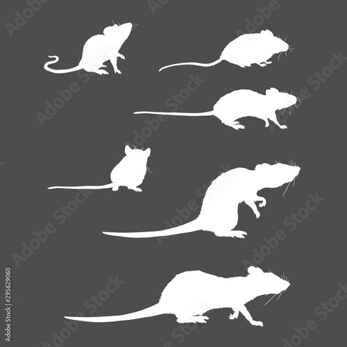 Vector Set of Rats and Mouses White Silhouettes